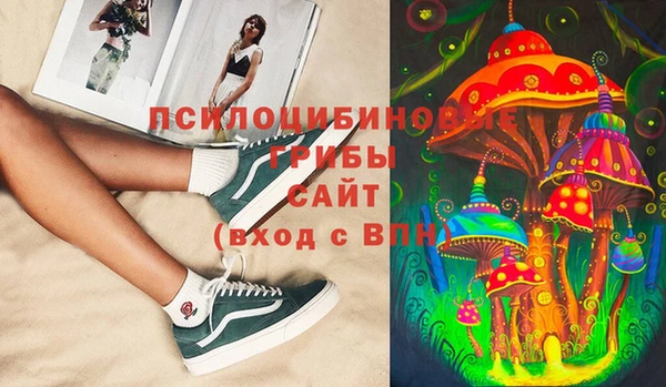 каннабис Аркадак
