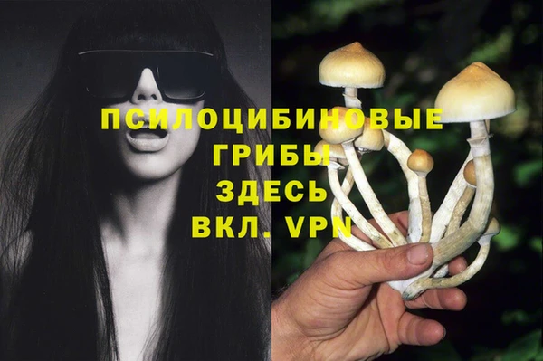 каннабис Аркадак