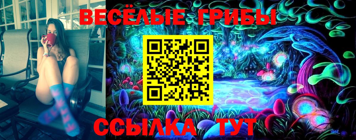 Галлюциногенные грибы GOLDEN TEACHER Раменское