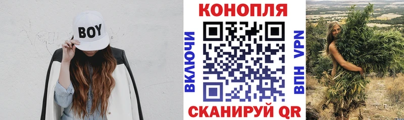 купить наркоту  Раменское  Канабис SATIVA & INDICA 